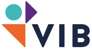 Logo VIB